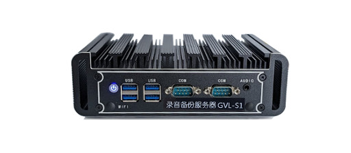 GVL-S1 Backup Server
